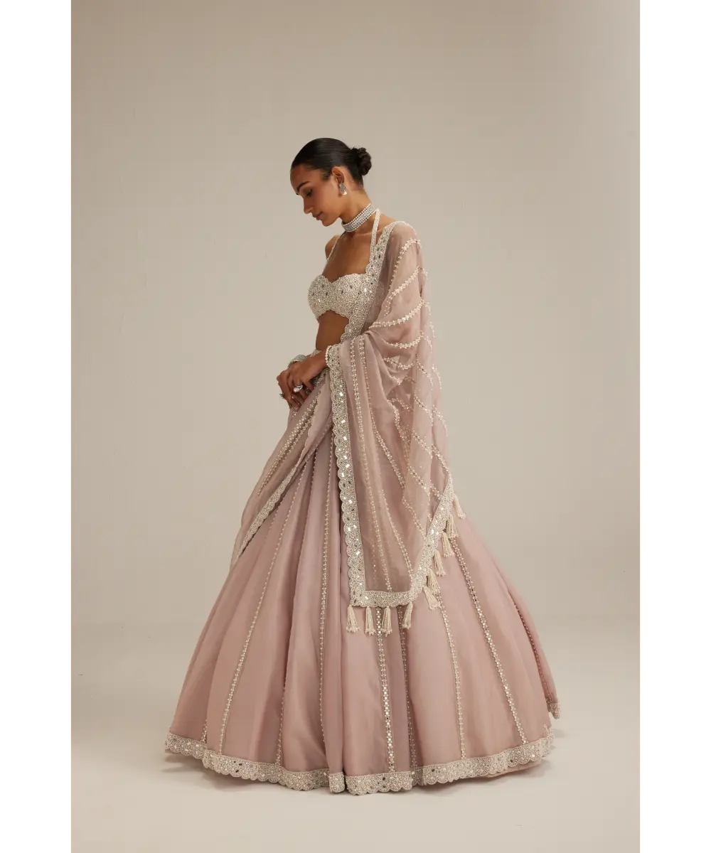 VVANI VATS- Ash Pink linear embroidered Organza Lehenga Set